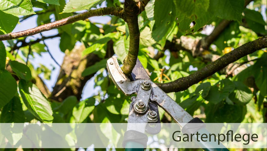 Schwankhof Gartenservice – Gartenpflege